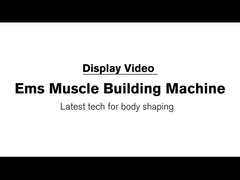 Un corpo di 4 maniglie SME che dimagrisce stimolatore neo del muscolo Max4 della macchina il pro